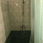 боряна *
