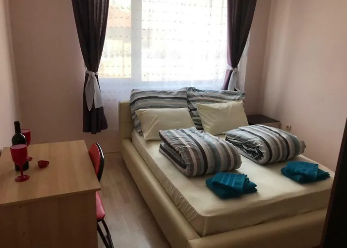 боряна Plovdiv